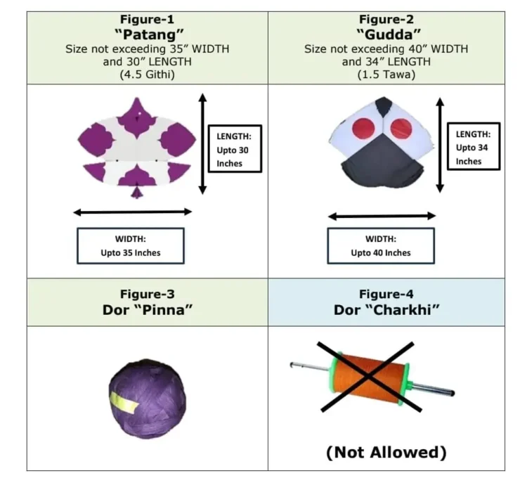 Punjab Notifies Kite-Flying Rules, Basant Scale and Dates Still Undecided