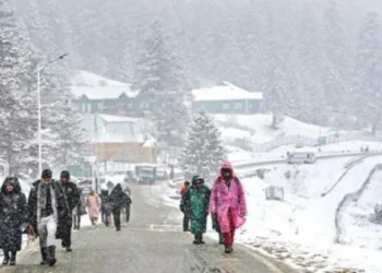 Fresh Snowfall Turns Upper Swat into Winter Wonderland, Tourists Flock to Malam Jabba