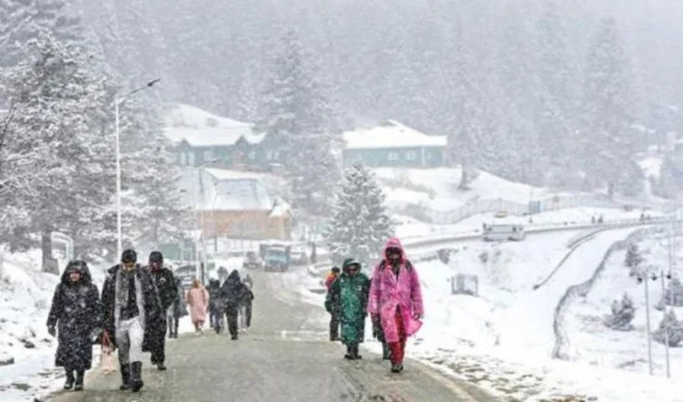 Fresh Snowfall Turns Upper Swat into Winter Wonderland, Tourists Flock to Malam Jabba