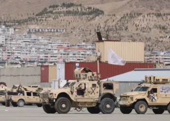 US Watchdog Confirms Taliban Now Rely on American Weapons Left Behind in Afghanistan