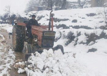 Tirah Valley Operation Destroys Poppy Crop, Risk of No Cultivation Next Year