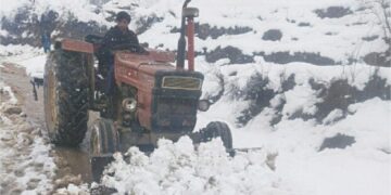 Tirah Valley Operation Destroys Poppy Crop, Risk of No Cultivation Next Year