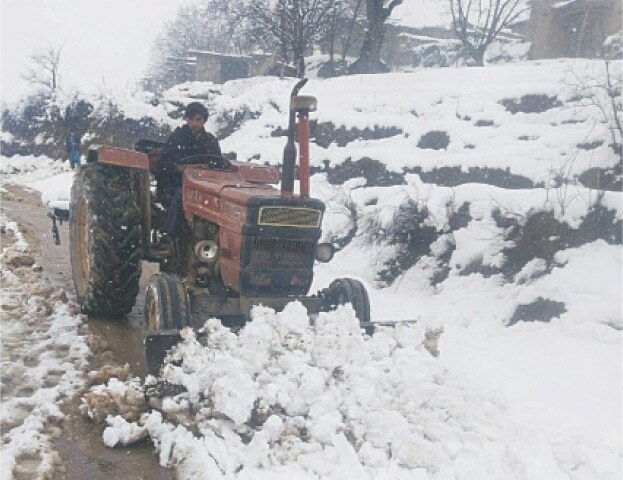 Tirah Valley Operation Destroys Poppy Crop, Risk of No Cultivation Next Year