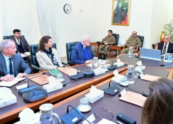 PM Shehbaz Reaffirms Commitment to Polio Eradication During Meeting with Gates Foundation Official