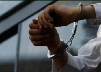 FIA, Interpol Arrest Three Murder Fugitives Abroad, Hand Them Over to Punjab Police