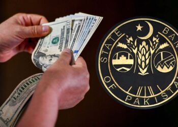 Record Remittances Signal Growing Confidence in Economic Policies: Finance Adviser