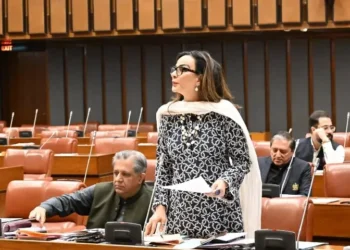 Senate Unanimously Condemns Afghan Taliban Aggression, Demands End to Cross-Border Hostilities