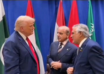 PM Shehbaz to Attend US Board of Peace Meeting, FO Confirms