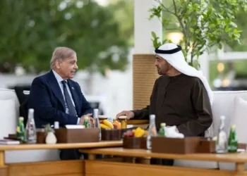 Prime Minister Shehbaz, UAE President Reaffirm Strong Bilateral Ties in Phone Call