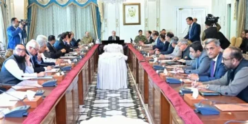 PM Shehbaz Orders Crackdown on Petrol Hoarding, Says Adequate Fuel Stocks Available