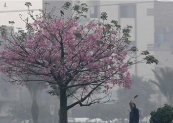 Pakistan ranked most polluted country in 2025, data shows