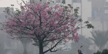 Pakistan ranked most polluted country in 2025, data shows