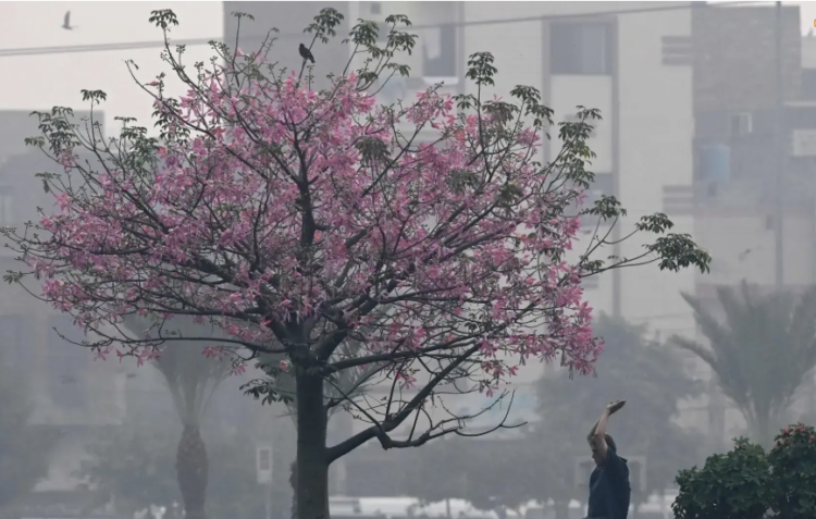 Pakistan ranked most polluted country in 2025, data shows