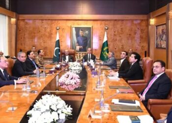 Zardari Chairs High-Level Meeting on Regional Challenges, Calls for National Unity