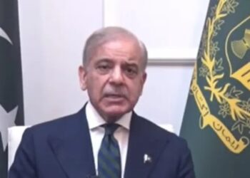 PM Shehbaz Rejects Fuel Price Hike Again, Govt to Bear Massive Burden