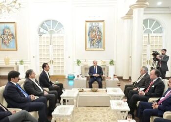 PM Shehbaz, Bilawal Discuss Gulf Situation and National Issues