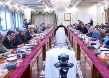 PM Shehbaz Urges Fuel Conservation as Pakistan Tightens Austerity Measures Amid Global Energy Crisis